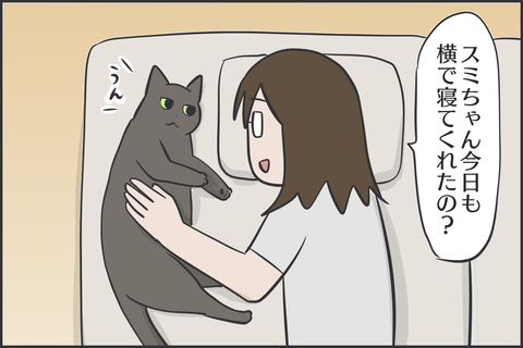 猫と添い寝