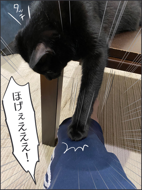 猫パンチ