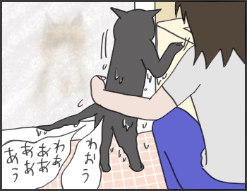 2016-07-19-18-26-55