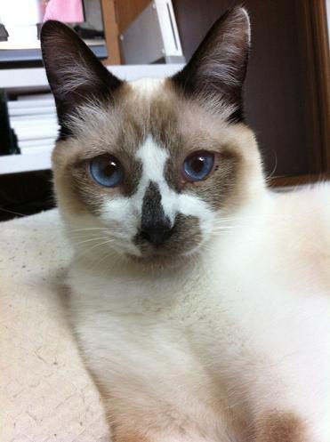 おそらくその平凡こそ幸せ