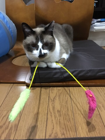 2016-09-18-19-17-58