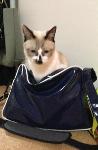 おそらくその平凡こそ幸せ