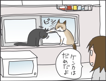 サランラップ1