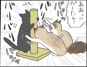 爪とぎ5