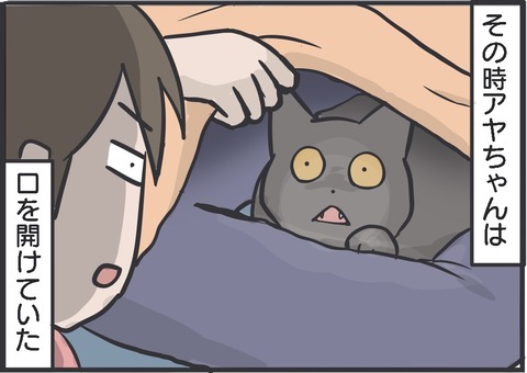 フレーメン反応