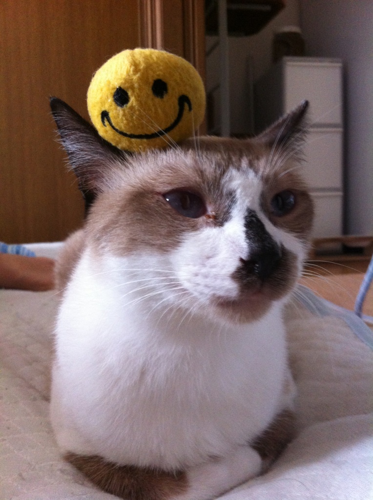 おそらくその平凡こそ幸せ