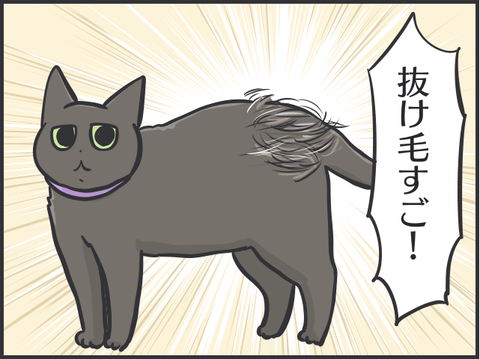 換毛期2