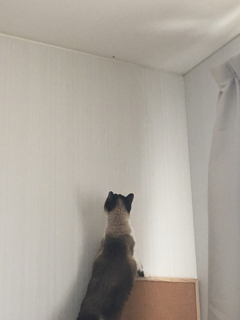 2017-05-26-21-30-09