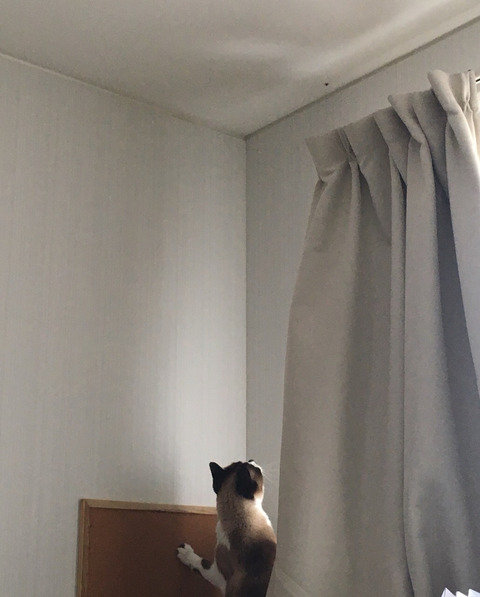 2017-05-26-21-30-08