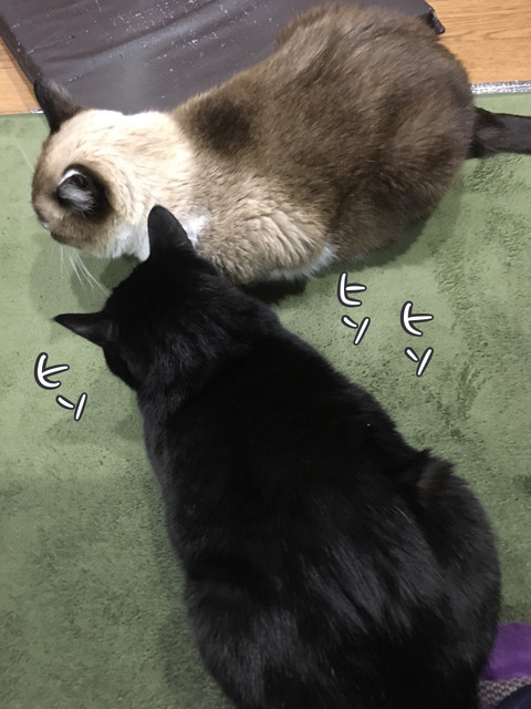 2017-12-08-21-27-05