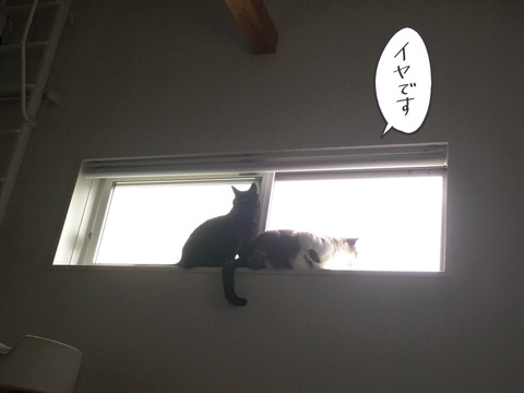 2017-08-11-21-43-00