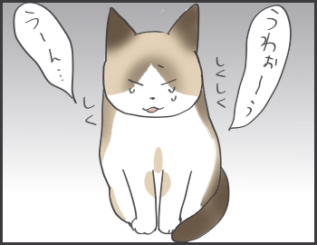 2016-11-29-18-16-44