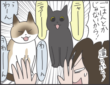2016-06-30-12-28-53