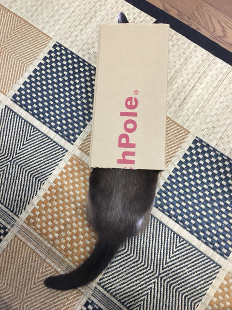 2017-06-10-21-38-15