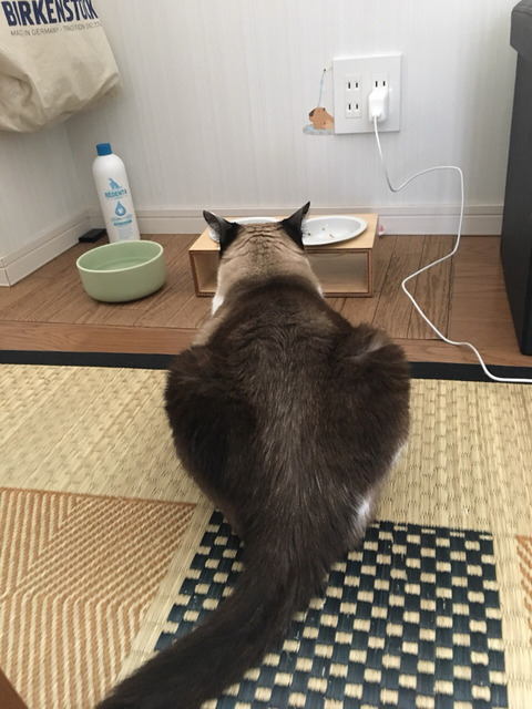 2017-06-18-20-24-51