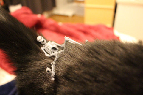 2016-12-30-18-01-40