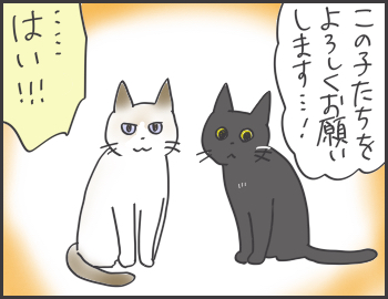 2016-05-31-22-07-22