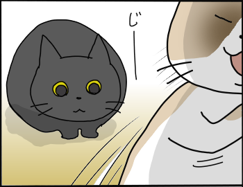 遊び方3
