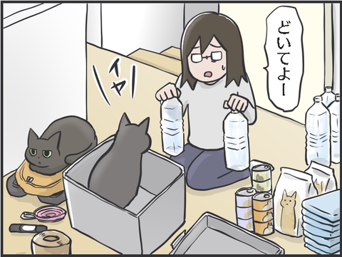 猫と防災2