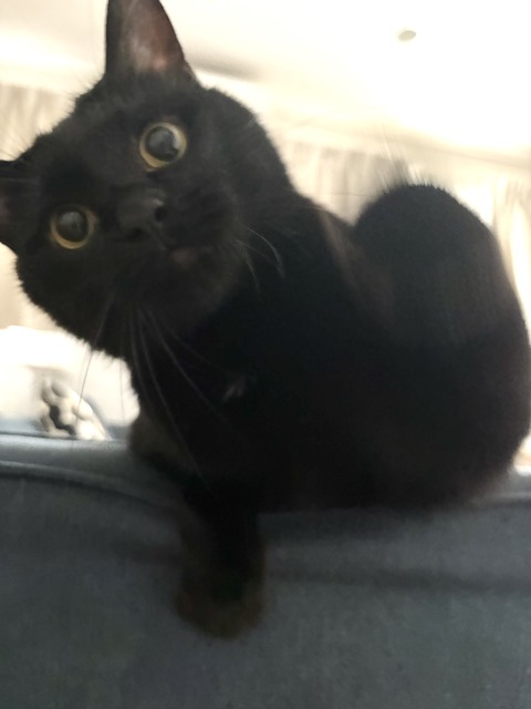 IMG_9022