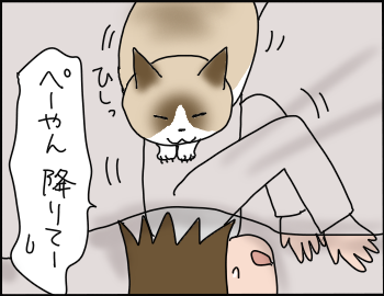 猫の重さ6
