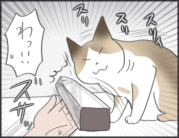 2016-11-17-17-13-22