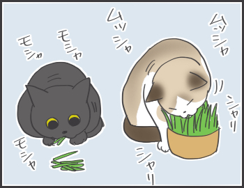2016-11-29-18-16-52