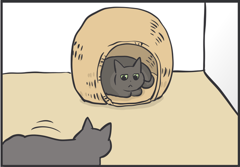 くろねこ