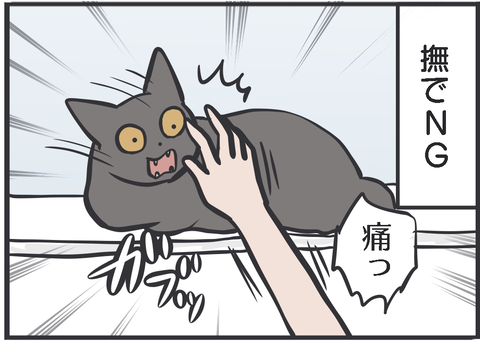 IMG_2200