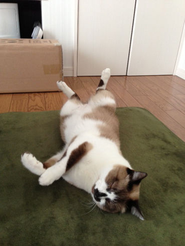 おそらくその平凡こそ幸せ