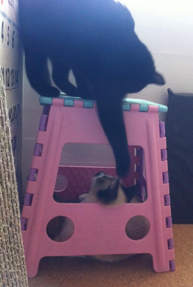 おそらくその平凡こそ幸せ