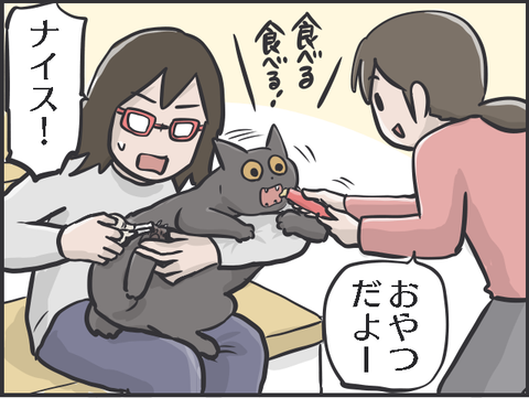 猫の爪切り6
