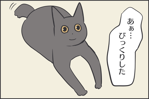 黒猫