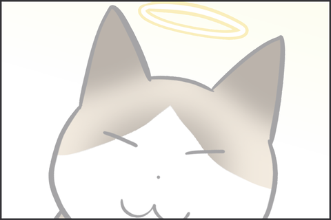 ぺーやん5