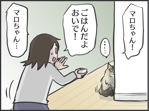 実家猫世話2