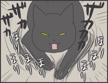 2016-10-14-22-33-10