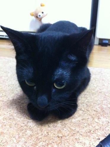 おそらくその平凡こそ幸せ