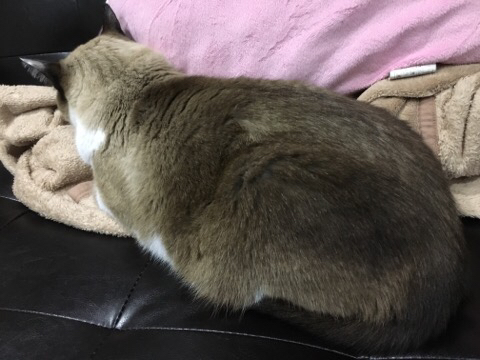 2016-11-24-23-13-41