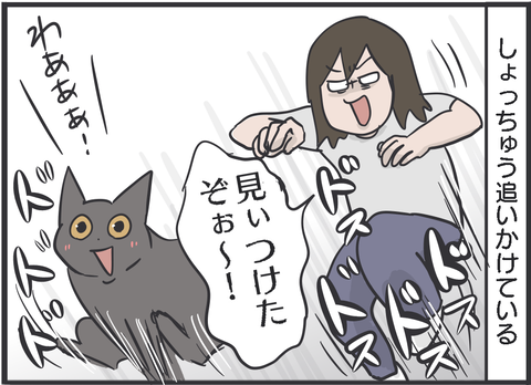 追いかけっこが大好きな猫とエキサイトした結果 おそらくその平凡こそ幸せ 猫と家族の日常絵日記 Powered By ライブドアブログ