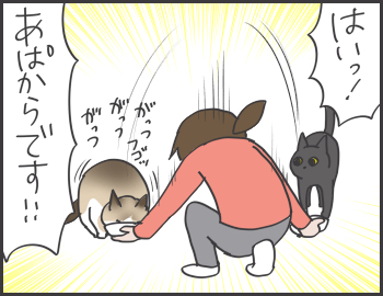 2016-05-27-22-06-02