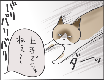 爪とぎ2
