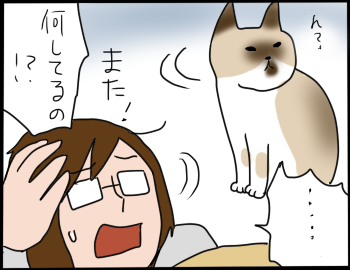 猫の爪6