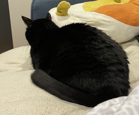 スミちゃん