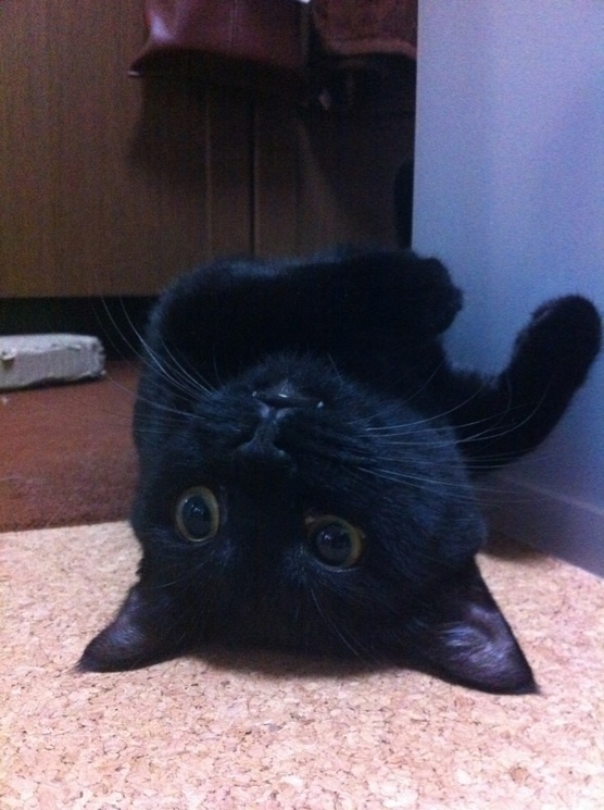 おそらくその平凡こそ幸せ