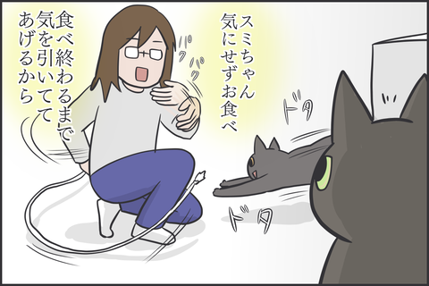 アイコンタクト1