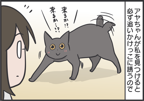 追いかけっこが大好きな猫とエキサイトした結果 おそらくその平凡こそ幸せ 猫と家族の日常絵日記 Powered By ライブドアブログ