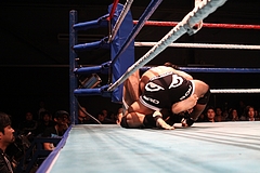 IMG_9367 IMG_9367