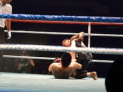 P1170441 P1170441