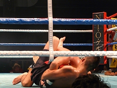 P1170760 P1170760