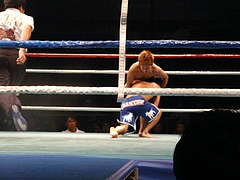 P1170158 P1170158